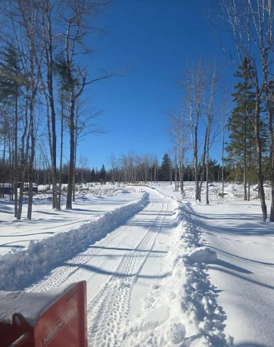 Snowy forest path with plowed tracks, clear blue sky, bare birch and evergreen trees